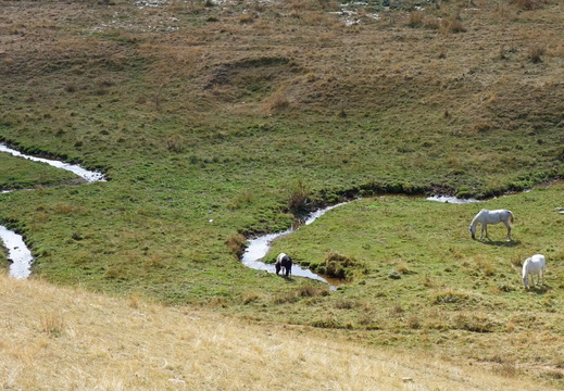 Sar Berge