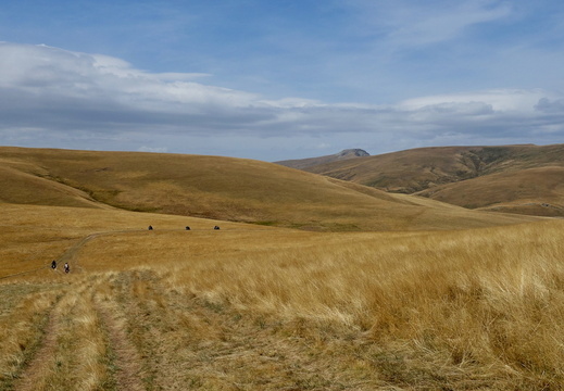 Sar Berge