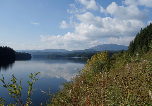 Transalpina