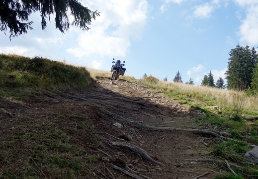 Transalpina