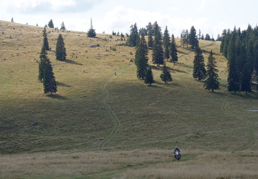Transalpina
