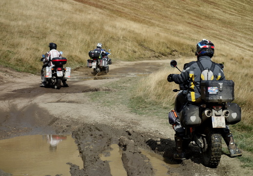 Transalpina