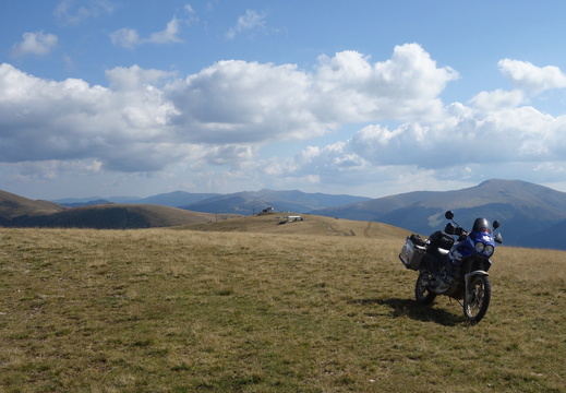 Transalpina