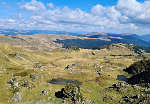 Transalpina