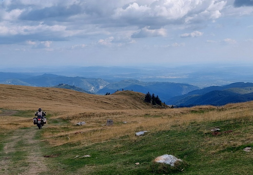 Transalpina