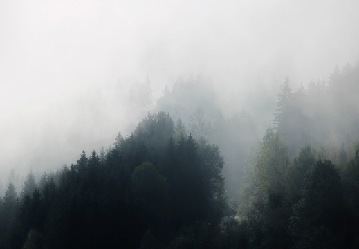 Morgenstimmung Gurk