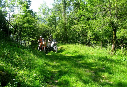 Slowenien 2014