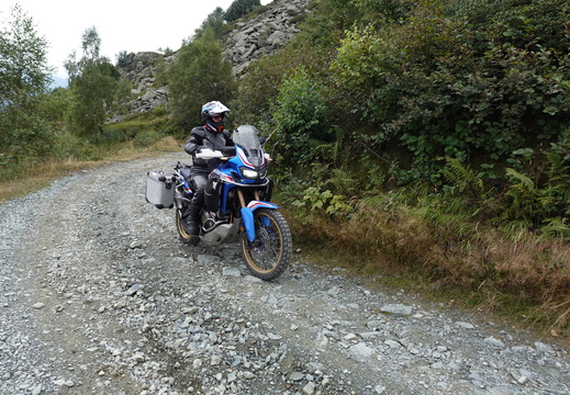 Colombardo